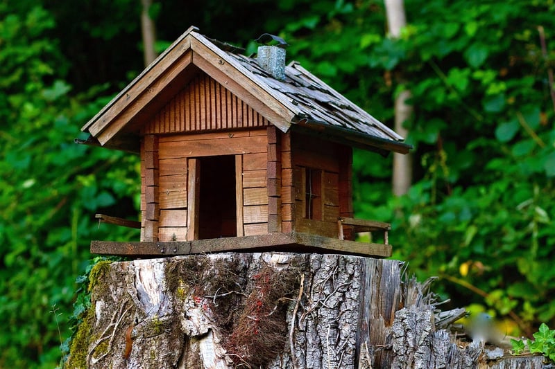 Mountain Cabin